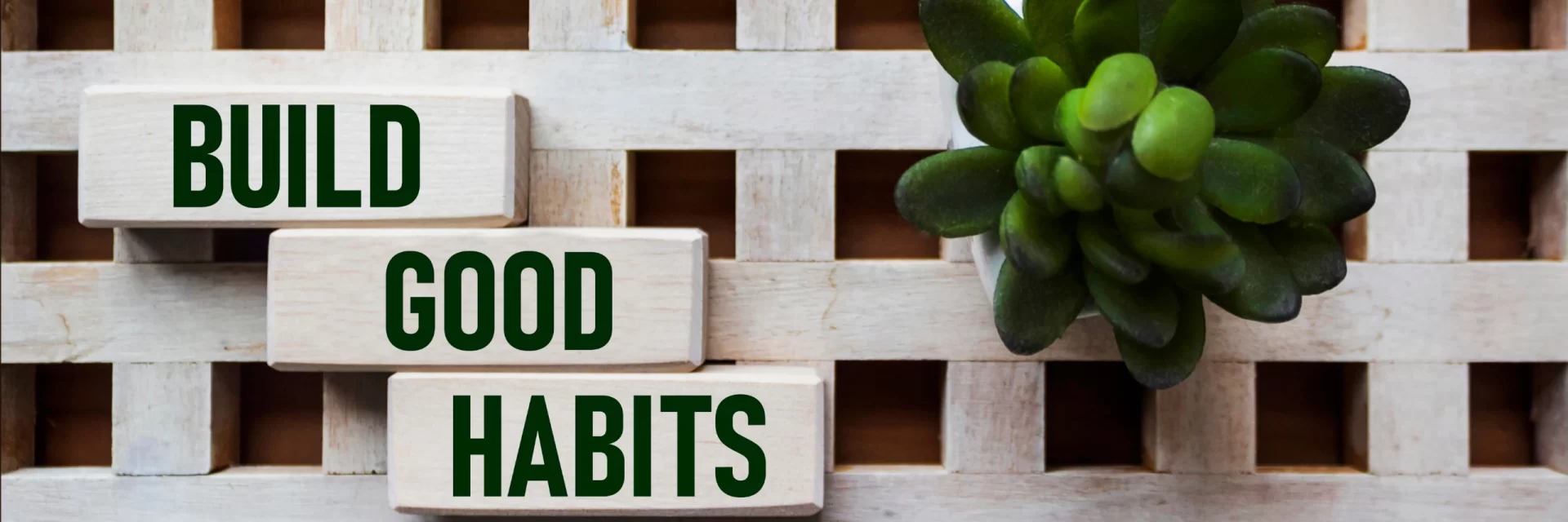 How to stay consistent with good morning habits